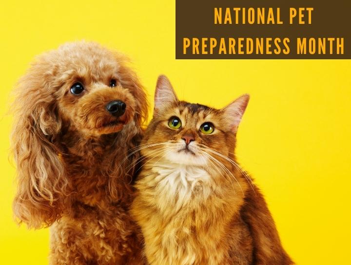 Tips for National Pet Preparedness Month