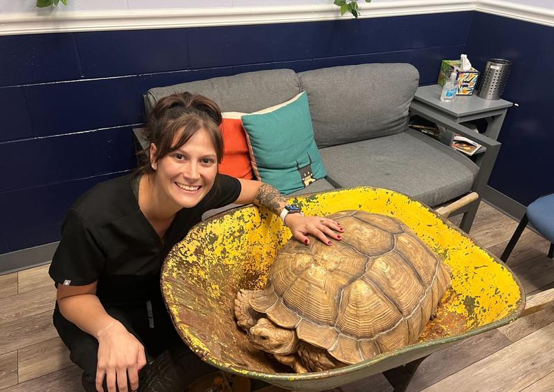 Carousel Slide 2: Exotics care in Columbia, MO