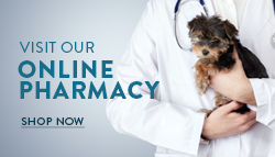 Shop our online pharmacy